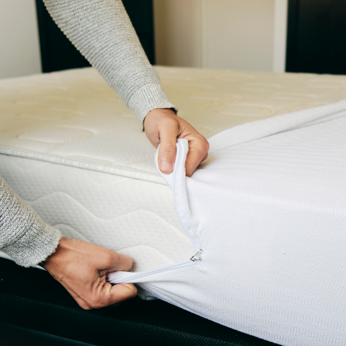 Mattress Protector