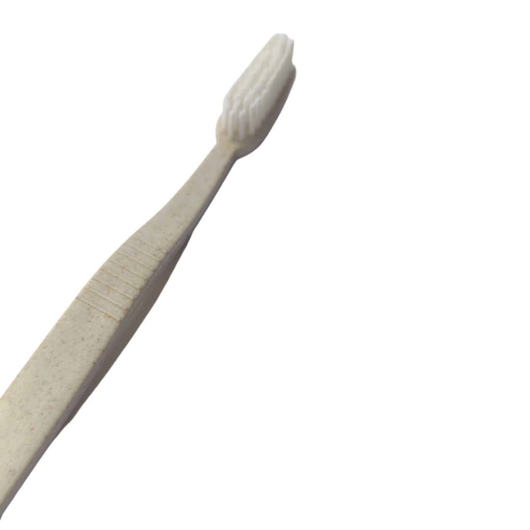 Biodegradable Toothbrush wholesale