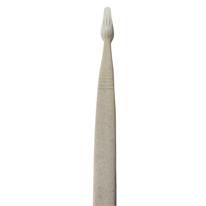 Biodegradable Toothbrush wholesale