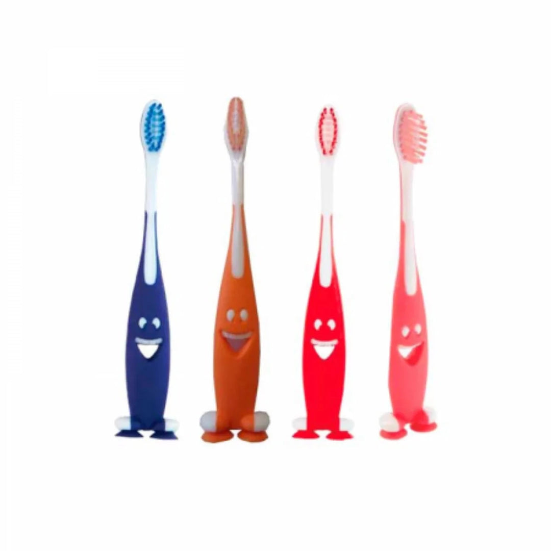 Brosses à dents en gros