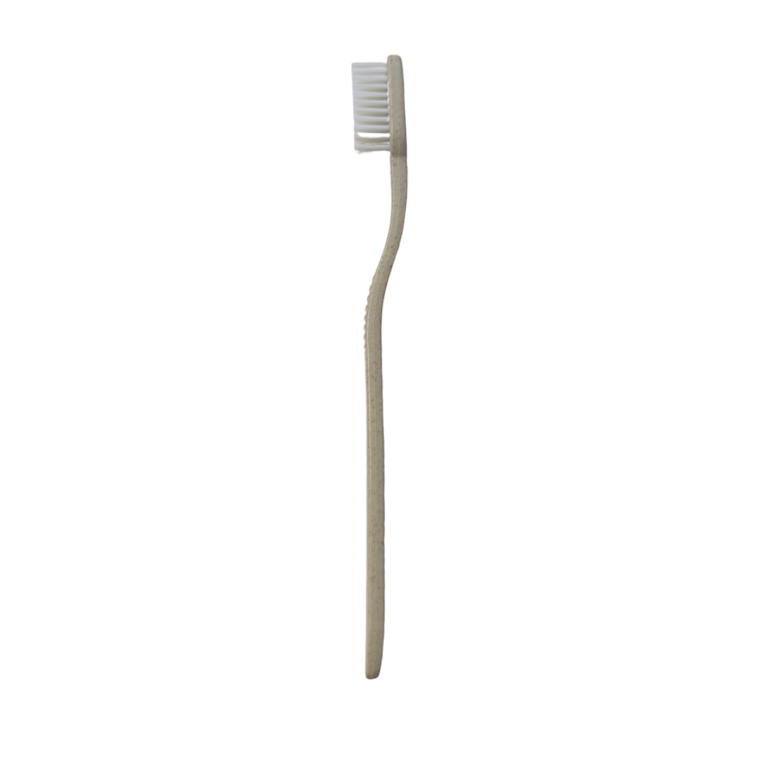 Brosse à dents biodégradable en gros, un choix durable.